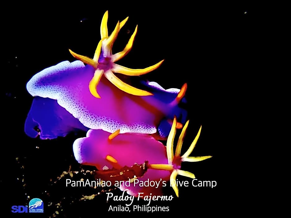 PamAnilao and Padoy's Dive Camp