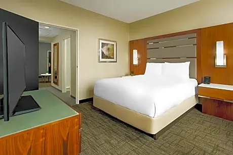 Casino Tower Classic Room with 1 King Bed