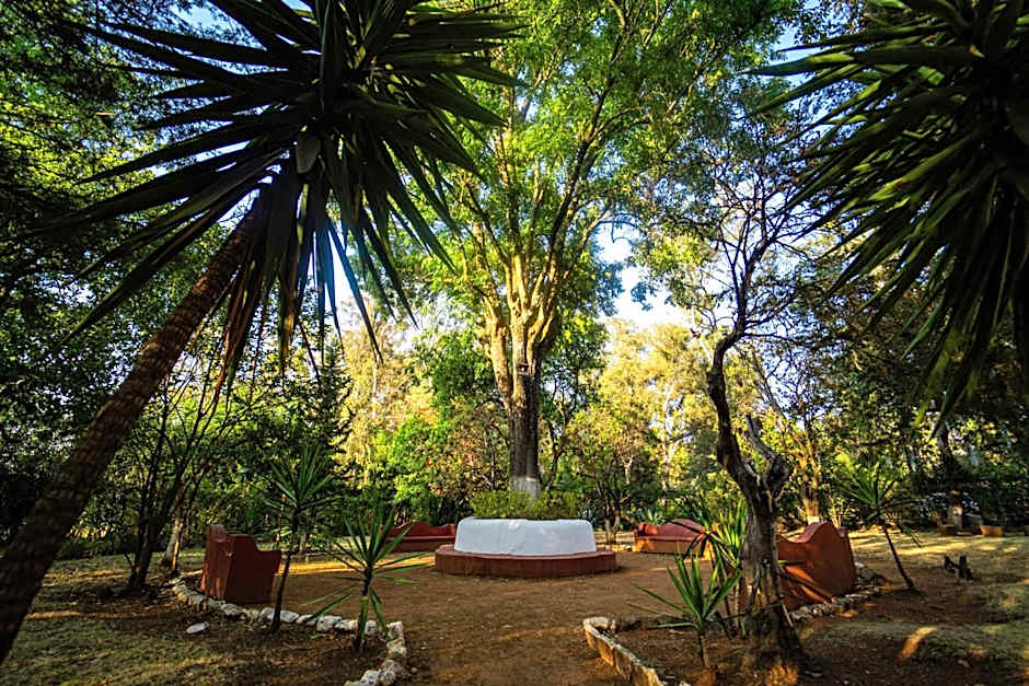 Best Western Plus Posada de Don Vasco