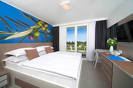 STANDARD DOUBLE ROOM BALCONY ANNEX SINGLE USE