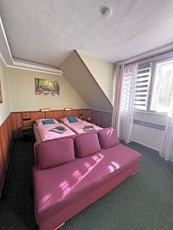 Double or Twin Room with Private Bathroom