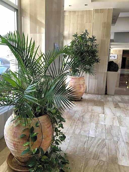 Nitza Seaview Apartments