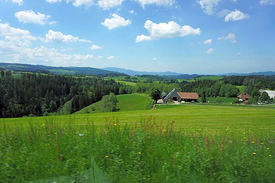 Ehrenmättlehof Faißt