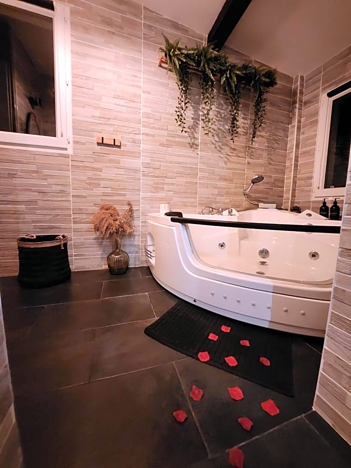 A l'Orée des pins - Gite et spa de 30 m2- Options Home Cinéma, Romantique