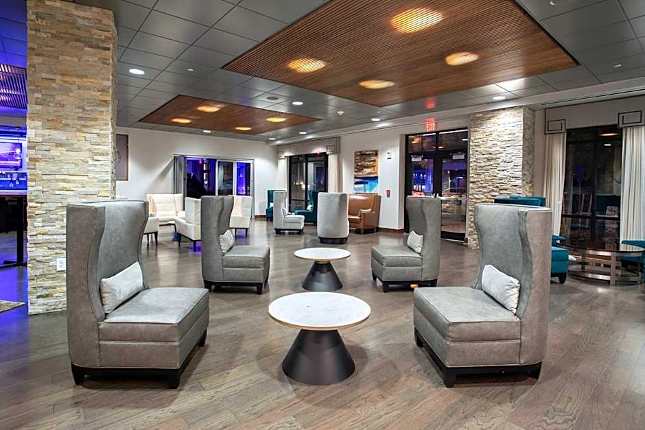 The Mosey Buffalo Williamsville, Tapestry Collection by Hilton