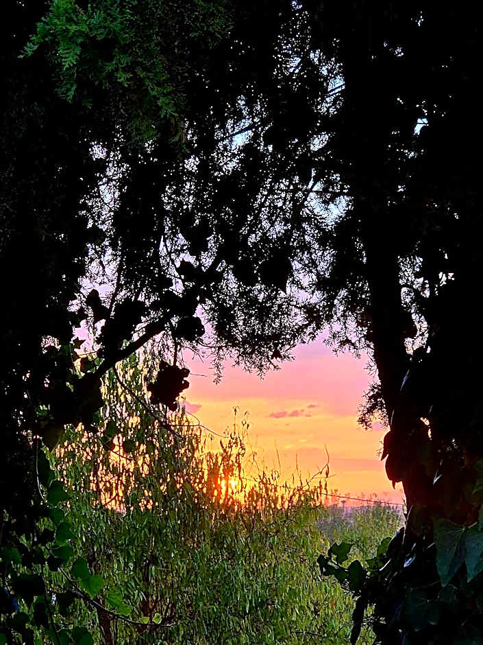 Hotel El Prado by Vivere Stays