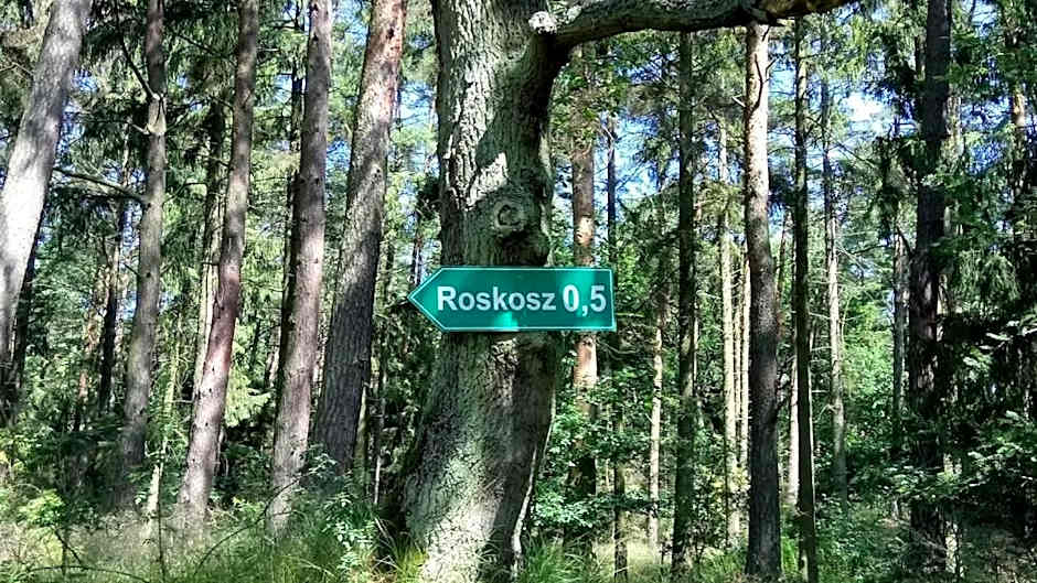 Ostoja Sosnowa Czarny Mlyn, kompleks dwóch domkow