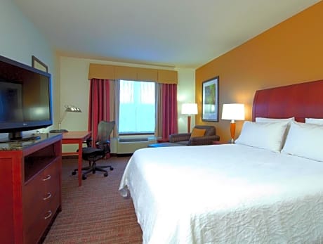 1 King Accessible 1 Bedroom Suite with Tub