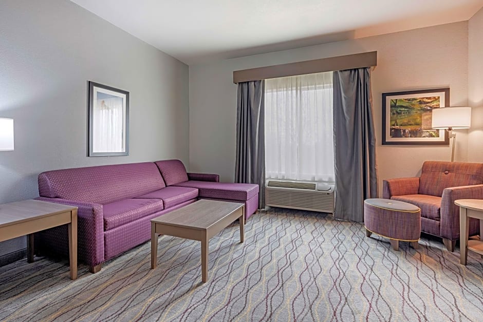 Photo 1 of 11 of 1 King Bed with Sofabed Suite, Hearing/Mobility Accessible, Bathtub
