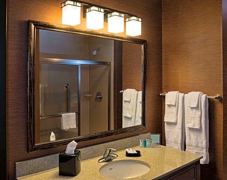 1 King Bed With Sofabed Nonsmoking