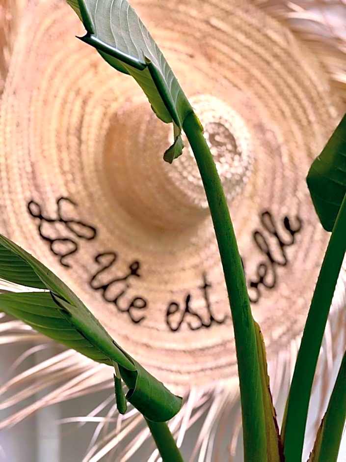 Riad Dollar Des Sables & Spa