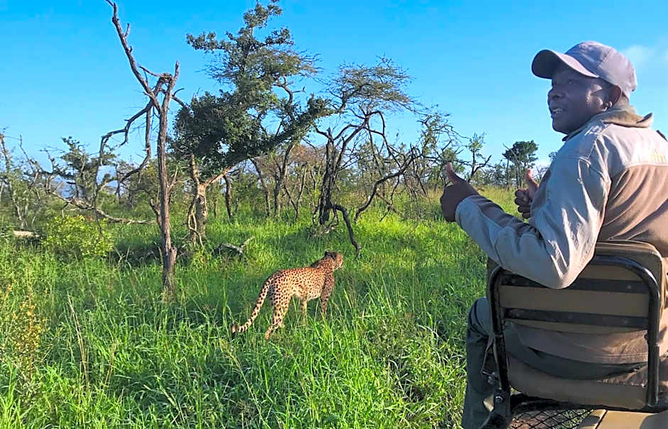 Amakhosi Safari Lodge