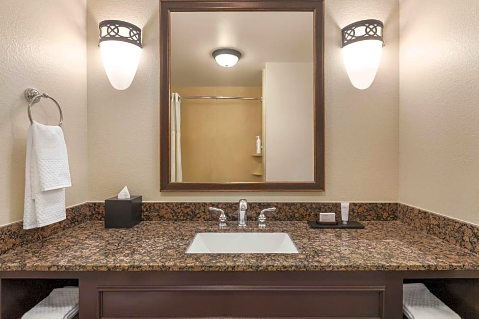 Embassy Suites by Hilton Orlando Lake Buena Vista South