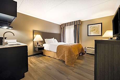 1 Queen Bed, Nonsmoking, Accessible