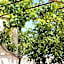 Don Agostino Relais Masseria
