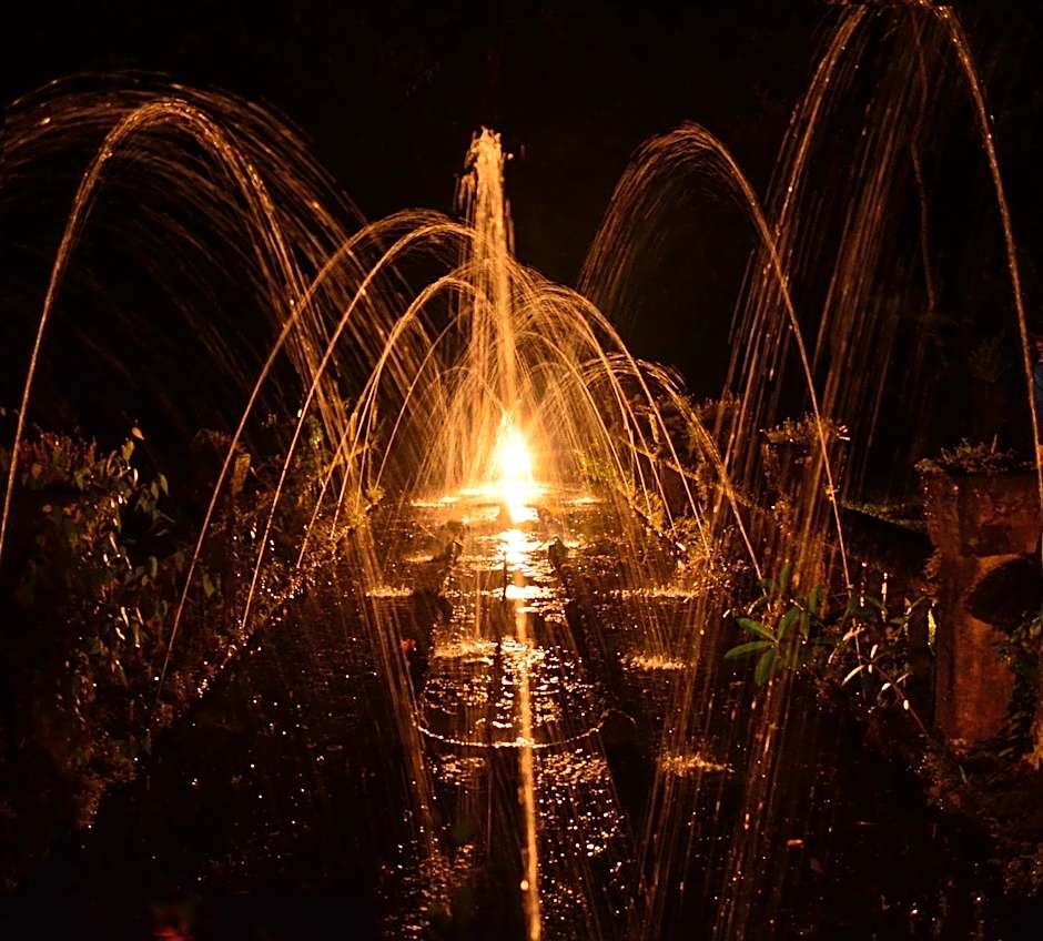 Tropical Bliss bed and breakfast