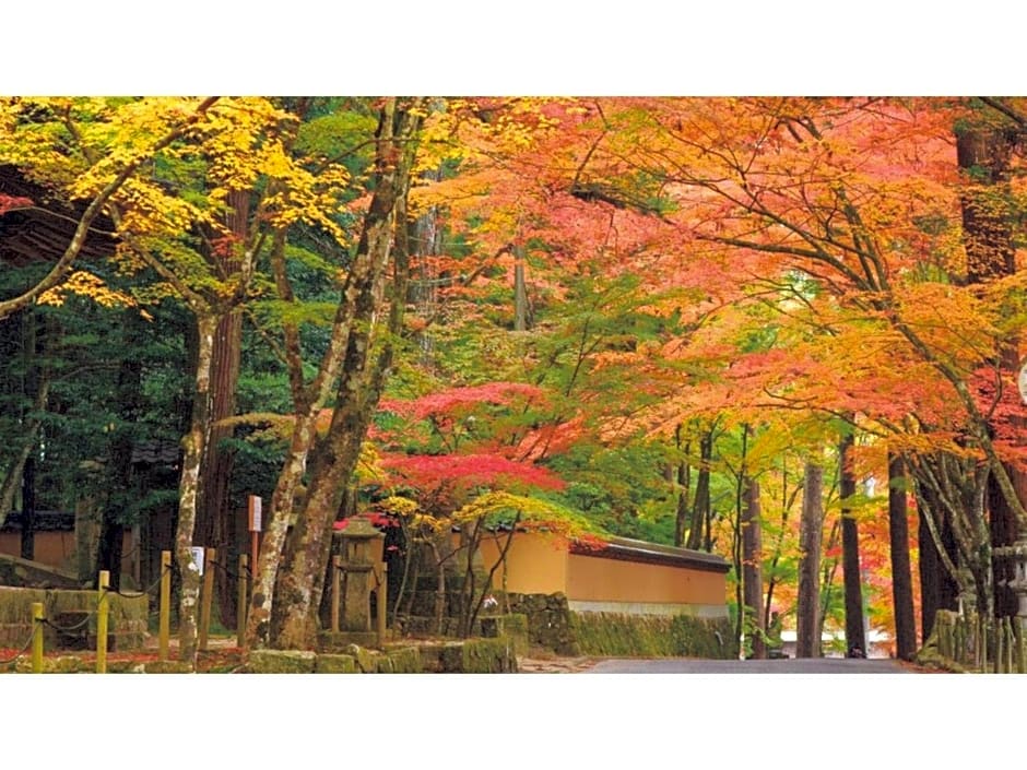Hotel Yassa - Vacation STAY 08925v
