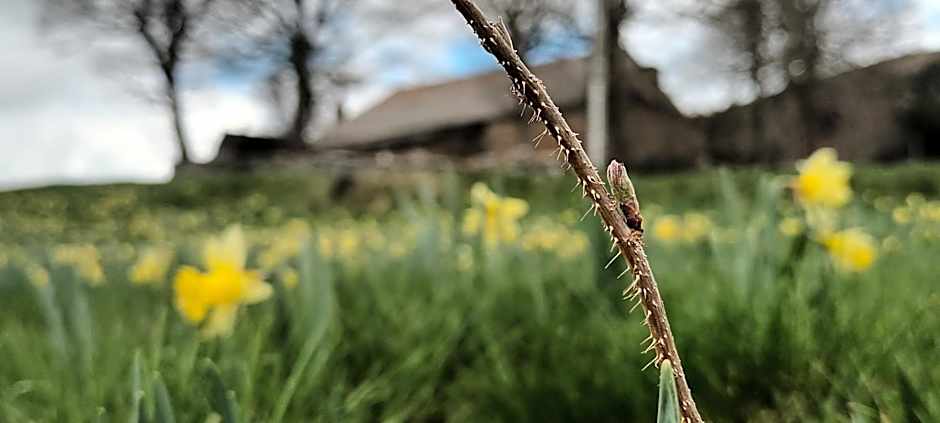 VVF Haute Loire Saint-Julien-Chapteuil