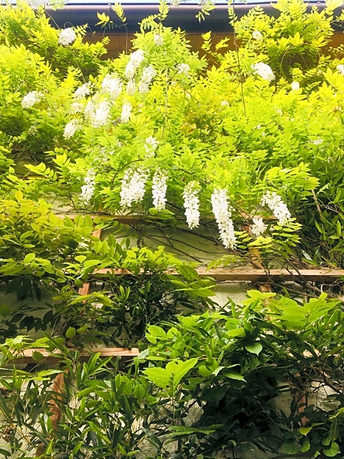 Pension am Campus Velden