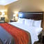 Comfort Inn & Suites Regional Medical Center