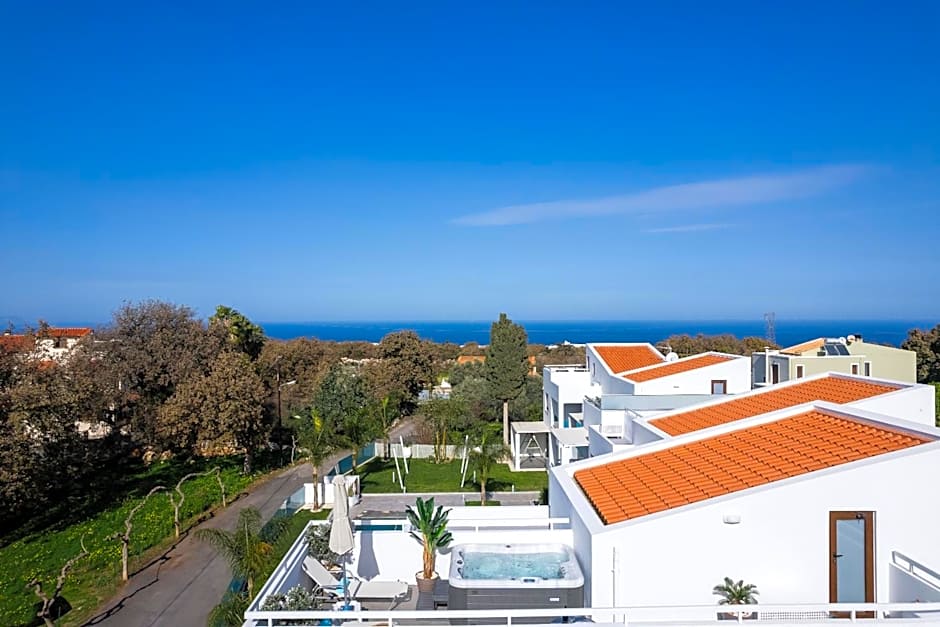 Coconut Palm Paradise