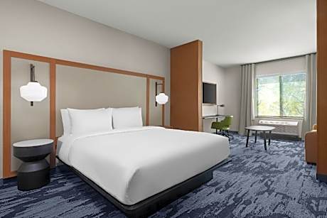 Suite, 1 King, Sofa bed