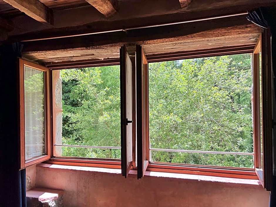 Casa Rural Ecológica Kaaño Etxea el Bosque y la Naturaleza Sentir