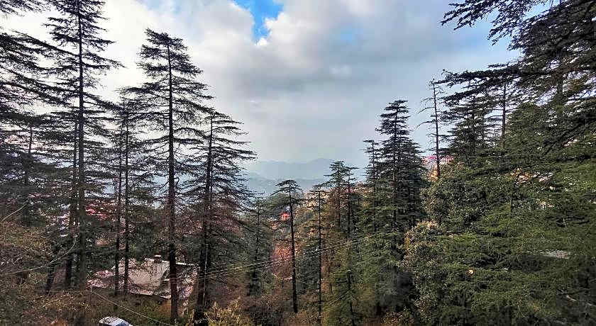 Royale Retreat Hotel And Spa Near Mall