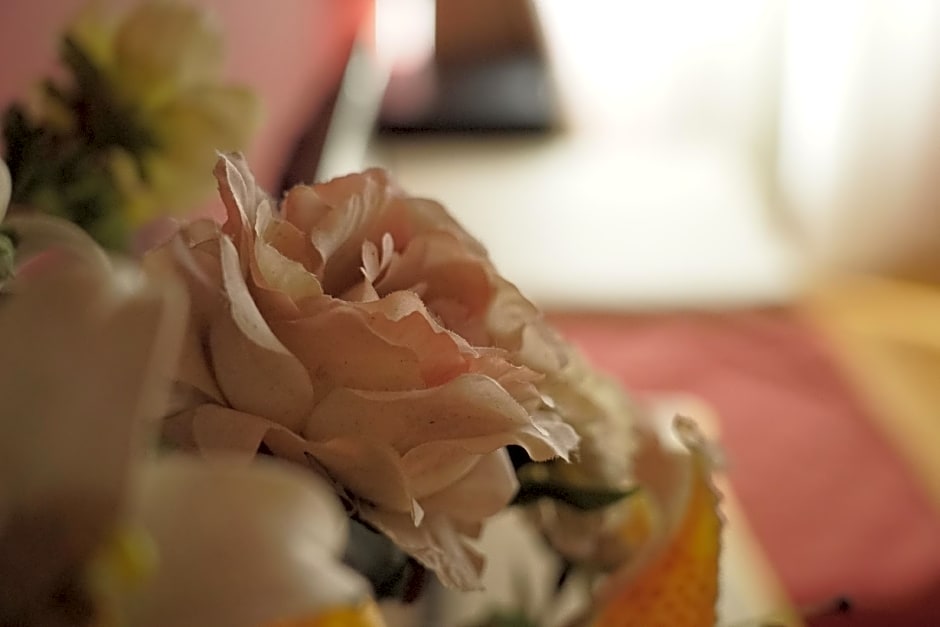 Hotel Il Granduca