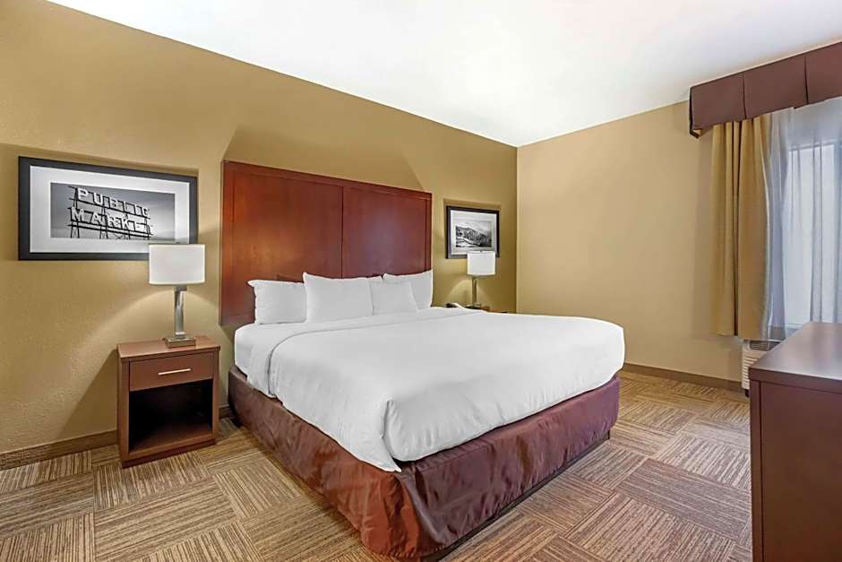 Comfort Inn & Suites Seatac