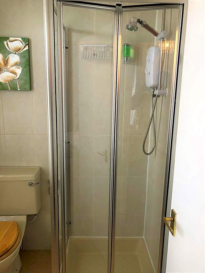 The Fossil Tree Hotel