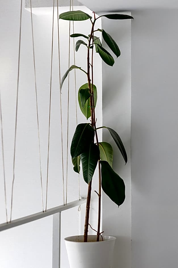 Mariinsky Boutique Hotel