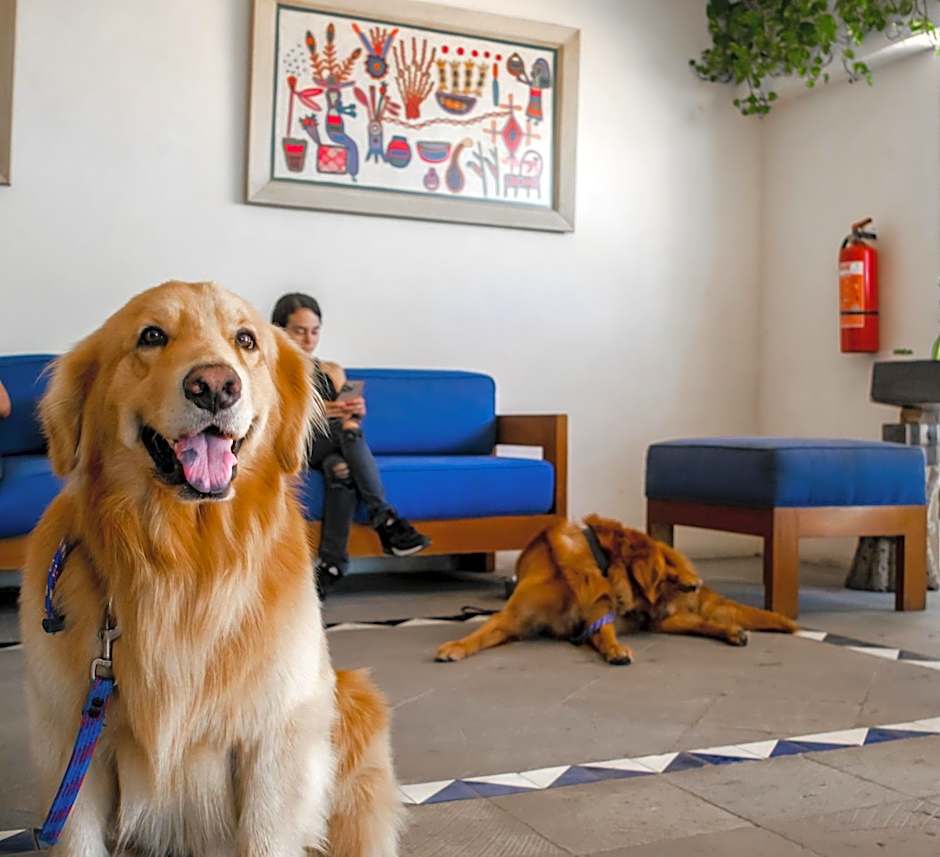 Puerto de Luna Pet Friendly and Family Suites