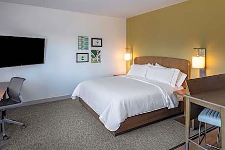 One-Bedroom Queen Studio Suite with Sofa Bed and Tub - Mobility and Hearing Accessible