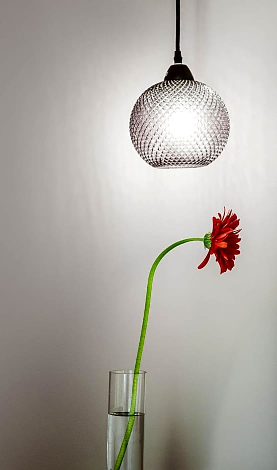 Plaza 1866 Superior City Rooms