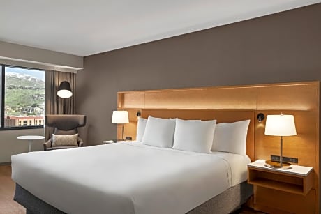 1 King Bed, Suite, Nonsmoking, Accessible, Upgrade