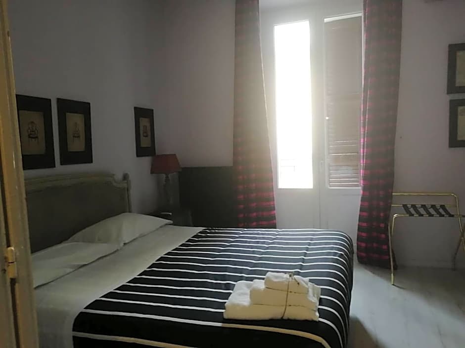 Gatto Bianco Casa Dei Venti