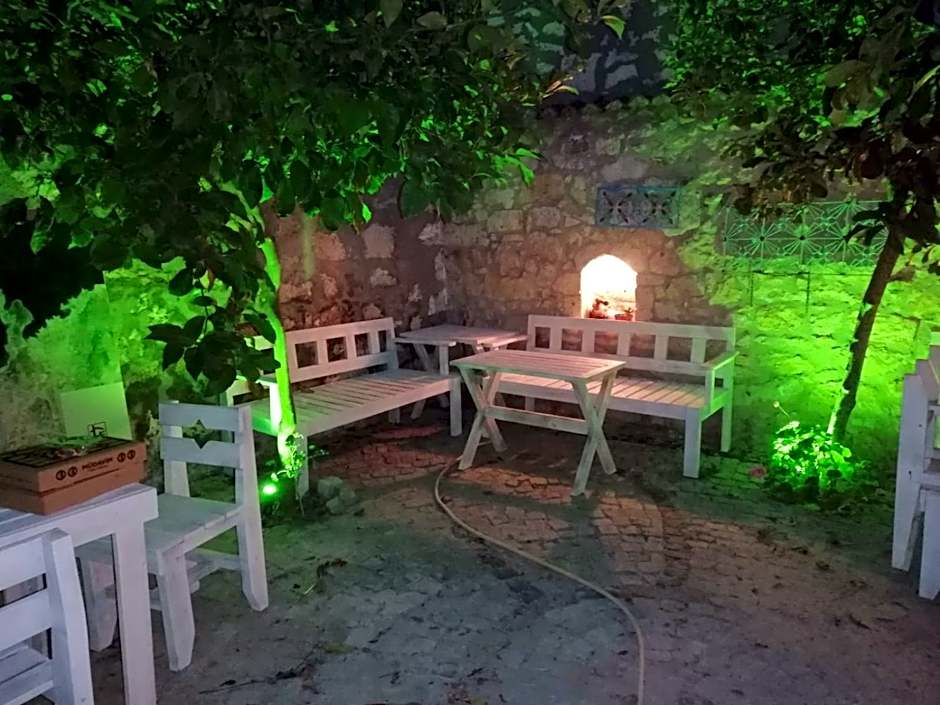 kaktushan otel
