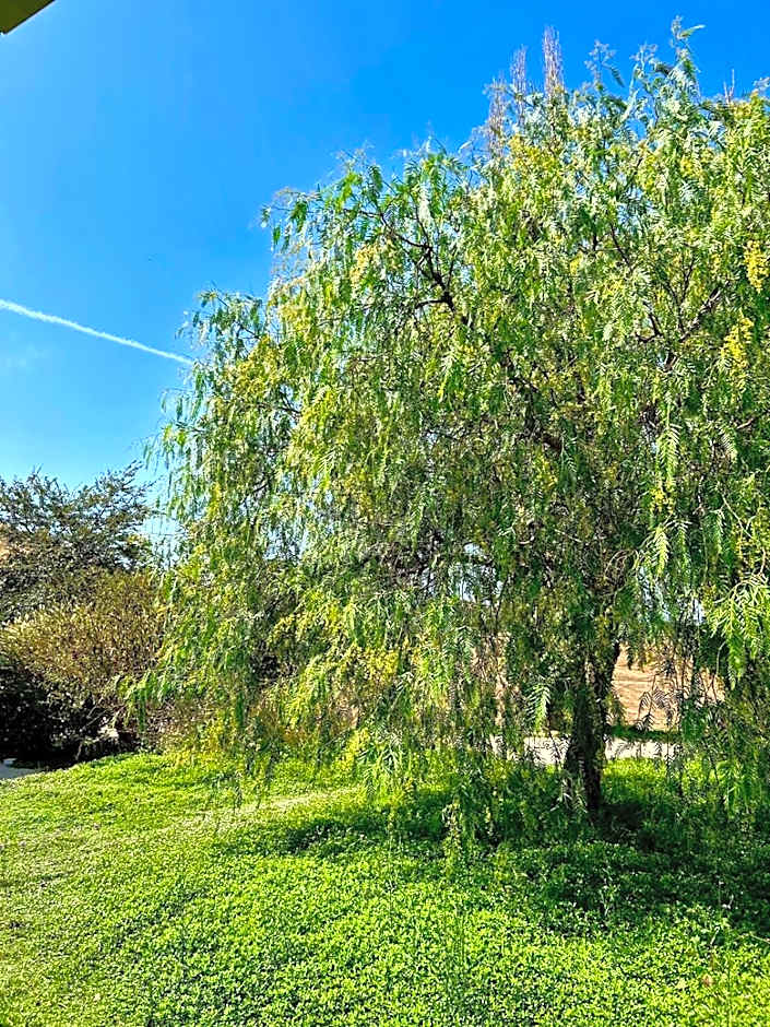 Agriturismo Podere Farnesiana