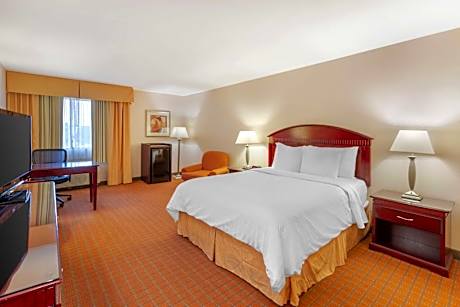 1 Queen Bed, Nonsmoking, Refrigerator