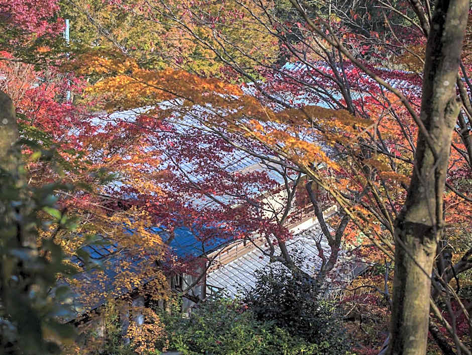 Hashinoya Bekkan Ransui