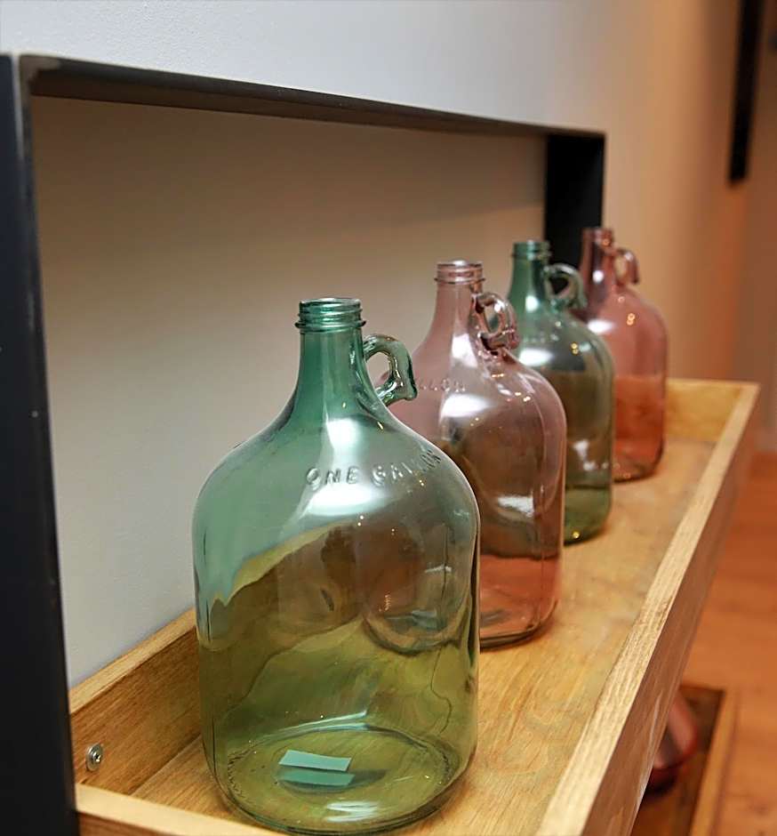 Hotel Cims de Camprodon