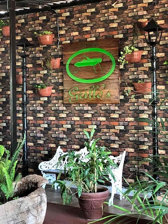 El Rincon Del Grillo – Cancun, TX