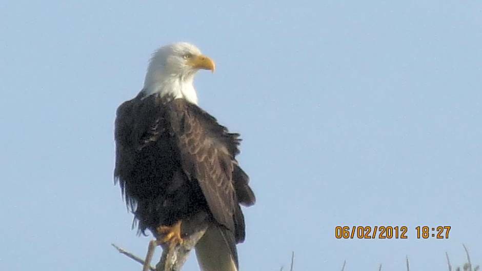 Seven Seas Inn & Suites