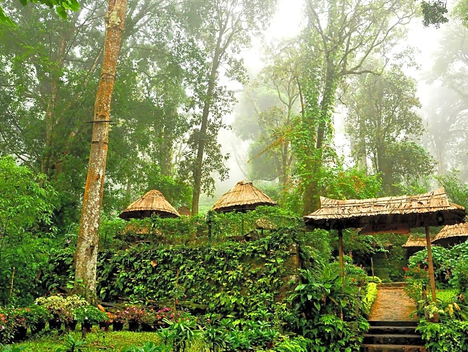 The Tall Trees Munnar