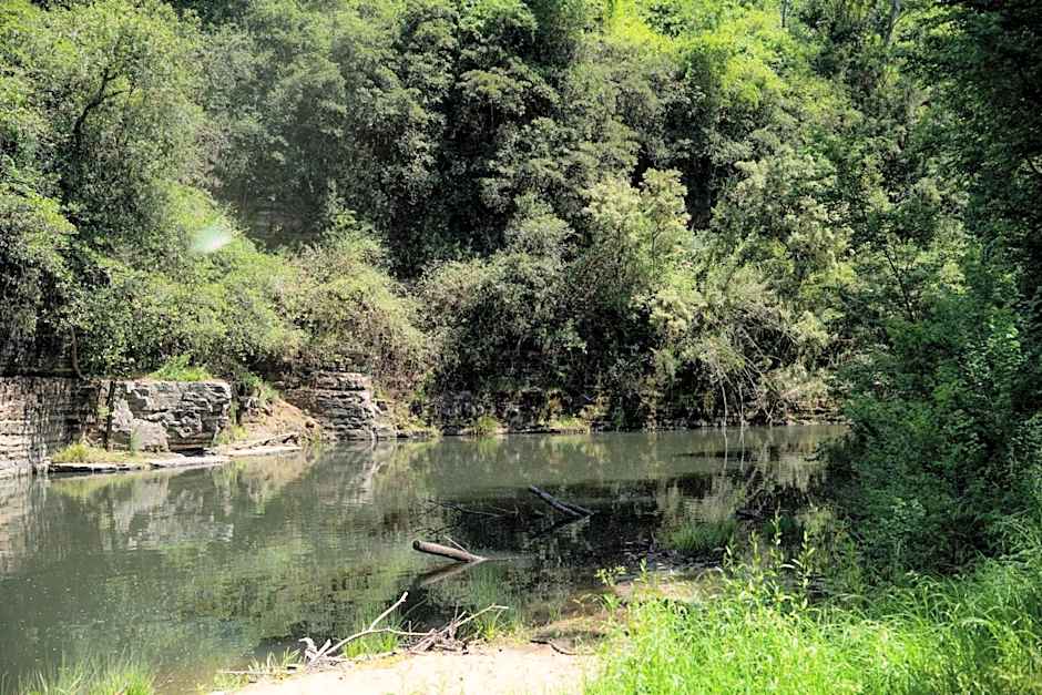 Bobby's Country Rental