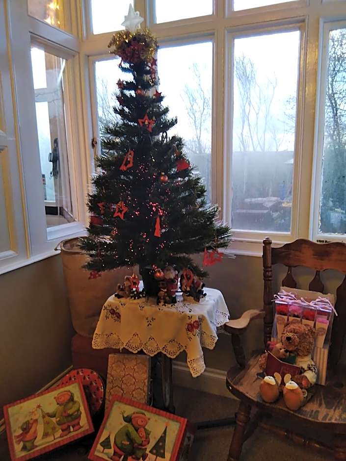 Llanwrtyd Hall B&B Angelis Holistic Retreat