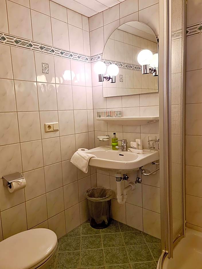 Hotel Alpenhof***