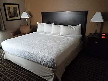 One King Bed Executive Non-Smoking