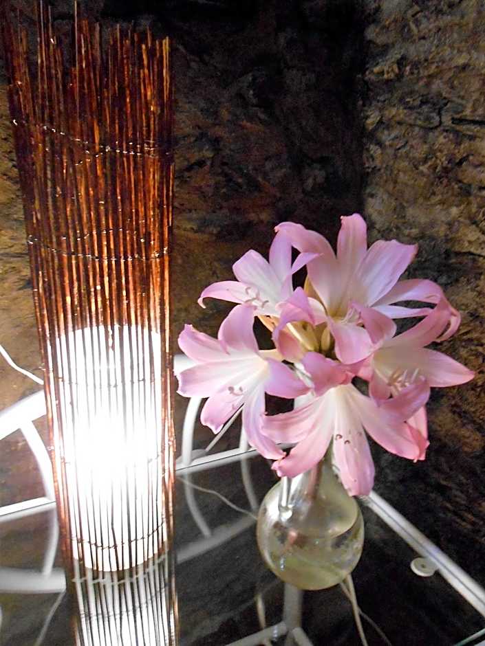 Watermill Moinho Garcia